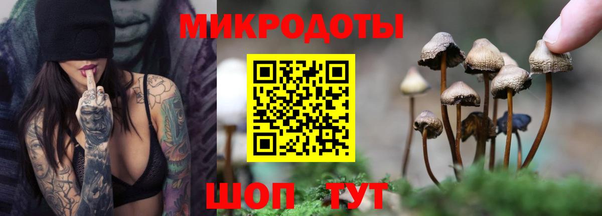 Псилоцибиновые грибы прущие грибы Костомукша